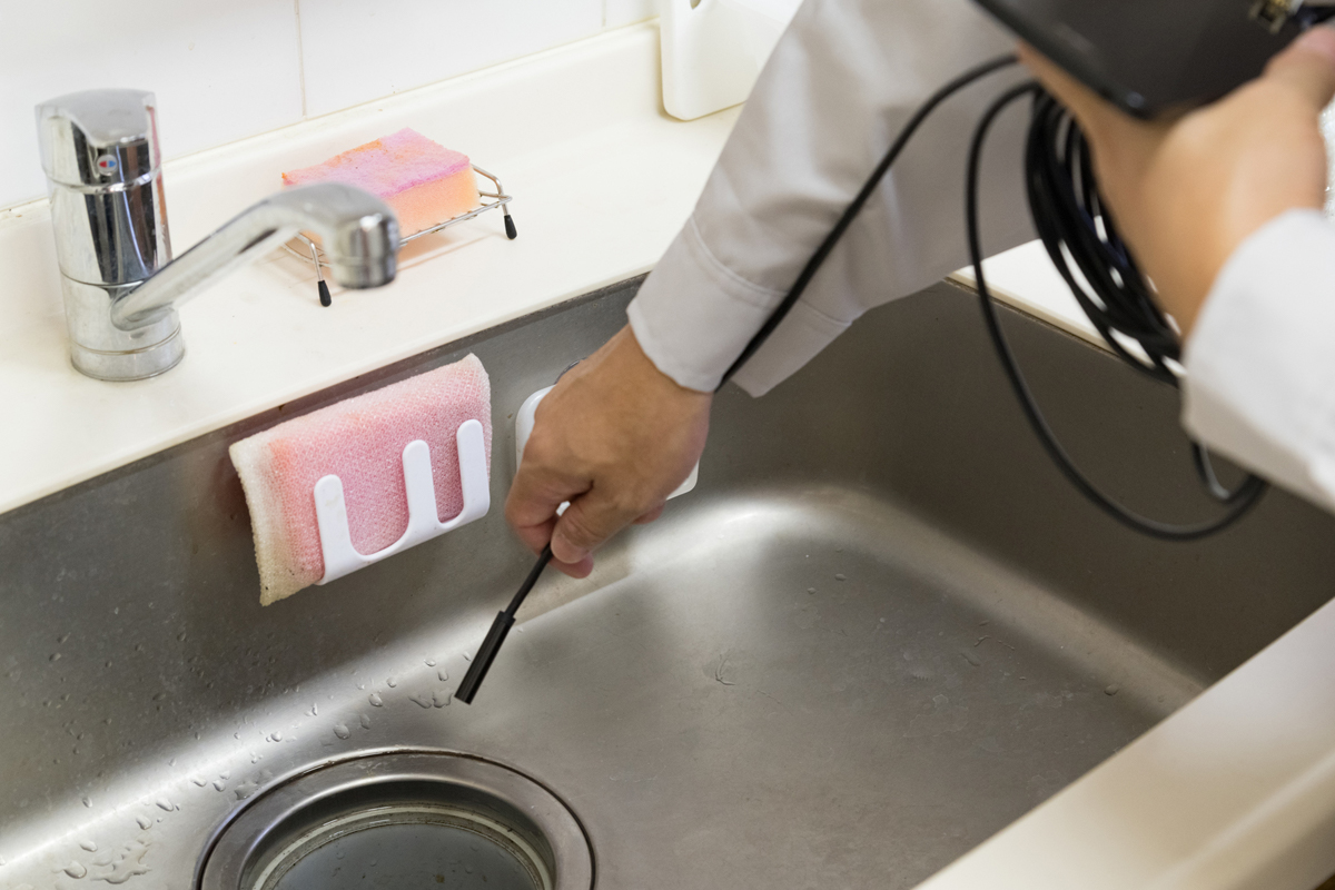 画像：内視鏡調査